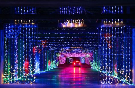 Glittering Lights Returns for Another Year of Christmas Cheer (w/ VIDEO) Las Vegas Christmas, Best Christmas Light Displays, Las Vegas Motor Speedway, Holiday Lights Display, Best Christmas Lights, North Carolina Travel, Christmas Light Displays, Las Vegas Shows, Christmas Events