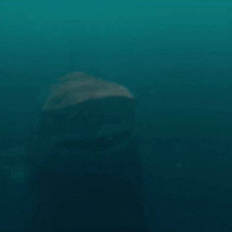 via GIPHY Shark Gif, The Meg, Big Shark, Megalodon Shark, Crazy Rich Asians, Creature Feature, Shark Teeth, Box Office, Warner Bros