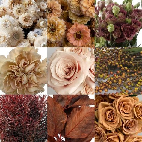 Quicksand Rose Arrangement, Brown Lisianthus, Toffee Roses, Copper Beech, Wedding Collage, Mocha Mousse, Floral Arranging, Rose Arrangements, Floral Display