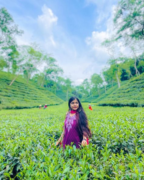 Sylhet Tea Garden, Tea Garden Poses, Poses In Tea Garden, Tea Garden Photography Pose, Tea Garden Outfit, Tea Garden Photography, Yea Garden, Garden Poses, Dil Photos Love