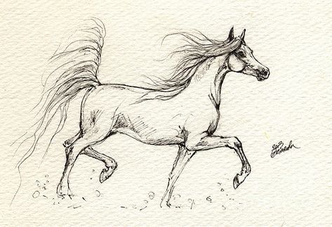 Arabian Horse Drawing, Foal Drawing, Horse Art Drawing, Horse Sketch, Draw Animals, Horse Illustration, Equestrian Art, Horse Wall Art, Traditional Artwork