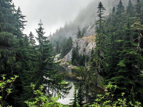 12 beautiful images of a road trip through the Pacific Northwest Pacific Northwest Mountains, Pacific Northwest Coast, Pacific Northwest Aesthetic, Washington Aesthetic, Pacific Northwest Landscape, Pacific Northwest Forest, Pacific Northwest Style, Northwest Landscaping, Pacific Northwest Travel