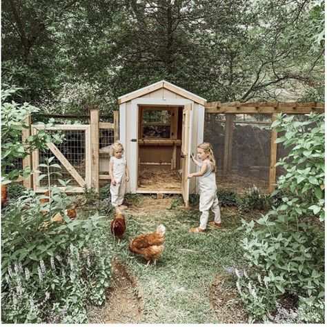 Collecting Eggs, Chicken Coop Garden, Lauren Liess, Backyard Chicken Farming, Future Farms, Nice Homes, Farm Lifestyle, Decorating Walls, Design Homes