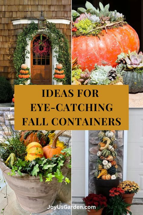 Looking for fall container planting ideas? Discover stunning autumn pots with our top picks for vibrant seasonal displays. From colorful mums, gourds, grasses, & ornamental kale to creative arrangements, these fall container ideas will transform your outdoor spaces. Perfect for adding a touch of autumn charm to your porch, garden, or pathway, these fall pots offer both beauty & versatility. Get inspired & make your fall decor shine with these must-try container garden ideas. Happy fall! Fall Container Ideas, Fall Pots Outdoor Planters, Fall Pots, Ornamental Kale, Fall Container Gardens, Succulent Cuttings, Fall Containers, Gardening 101, Tomato Cages