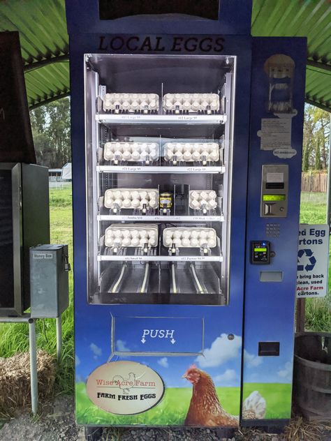 Egg Vending Machines May Be the Future of Farm-Fresh Eggs Egg Marketing Ideas, Egg Shop Design, Egg Selling Stand With Cooler, Egg Vending Machine, Egg Sale Stand, Self Serve Egg Stand, Fresh Egg Stand, Egg Stand Roadside, Vendor Machine