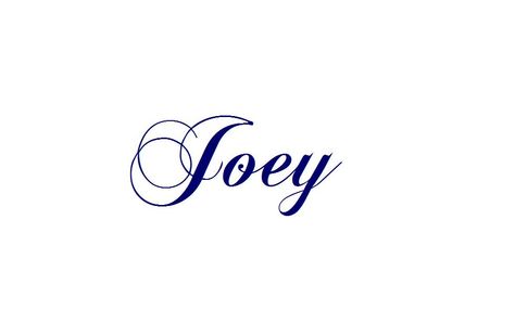 Joey Joey Tattoo The Name, Joey Tattoo, Tattoo Name Design, Tattoo Name, Name Tattoos, Name Design, Collage, Tattoos, Pins