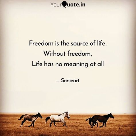 Freedom is the source of life.
Without freedom,
Life has no meaning at all Life Has No Meaning, Freedom Life, Freedom Is, The Source, Meant To Be, Quotes