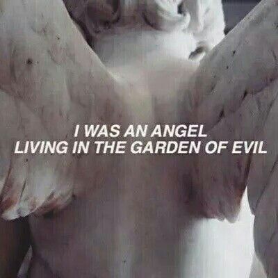 ✱✦☆p i n t e r e s t: @ughasifff✱✦☆ Quotes Grunge, The Garden Of Words, The Fallen Angel, About Quotes, Angel Aesthetic, Sansa Stark, Blue Bloods, Ex Machina, Angels And Demons