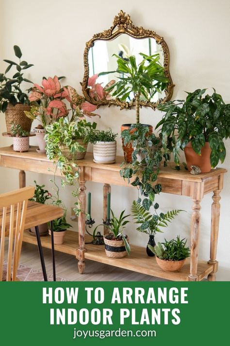 Indoor Plants Styling Living Rooms, Houseplants Decor, Indoor Plant Display, Plant Display Ideas, Indoor Plants Styling, Plant Styling, Indoor Plant Wall, Hanging Plant Wall, Living Room Plants