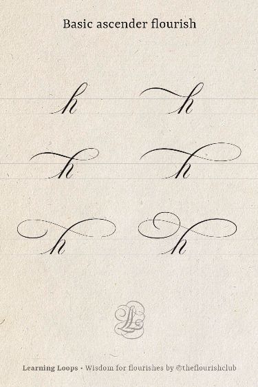 The ascender is an invitation to create a flourish. Read this blogpost if you are interested in learning how to flourish. . #learn #flourishing #flourish #calligraphy #tips #lettering #handlettering #penman #copperplate #roundhand #flourishes #learning #theflourishclub #embellishment #art #tutorial #copperplate Calligraphy Tips, Calligraphy Writing Styles, Invitation To Create, Flourish Calligraphy, Handwriting Examples, Hand Lettering Worksheet, Pretty Handwriting, Calligraphy Tutorial, Hand Lettering Practice