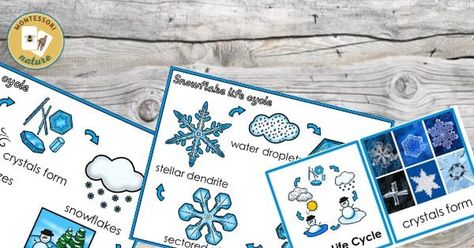 Printables - Montessori Nature Printables Types Of Snowflakes, Nature Printables, Snowflake Bentley, Sensory Details, Snowflakes Art, Poetry Anthology, Snowflake Cards, Snowflake Shape, Paper Snowflakes