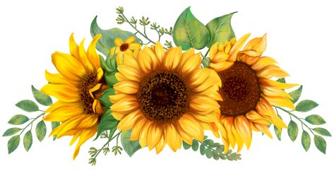 Botanical Flowers Print, Sunflower Images, Sunflower Drawing, Small Sunflower, Sunflowers And Daisies, Sunflower Bouquet, Sunflower Pictures, Sunflower Wall Art, Sunflower Bouquets