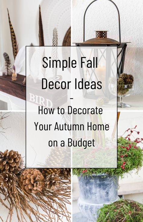 So many INEXPENSIVE AND SIMPLE ideas for FALL DECORATING! I love the create Fall Decor that is cozy and beatiful and these budged or free ideas make it easy. Create your autumn home with these… Fall Interior Decor, Fall Tray Decor, Easy Diy Fall Decor, Simple Fall Decor, Fall Tray, Autumn Interior, Fall Decorating Ideas, Fall Vignettes, Easy Fall Decor