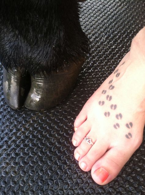 Livestock Tattoo Ideas, Show Steer Tattoo, Cow Hoof Print Tattoo, Cow Hoof Tattoo, Ffa Tattoo Ideas, Small Cow Tattoo Ideas, Dairy Cow Tattoo, Livestock Tattoo, Mini Cow Tattoo