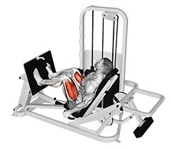 Lever Seated Leg Press - Video Guide | Lyfta Leg Press Workout, Single Leg Press, Seated Leg Press, Leg Press Machine, Squat Machine, Lower Body Muscles, Muscle Imbalance, Leg Press, Thigh Exercises