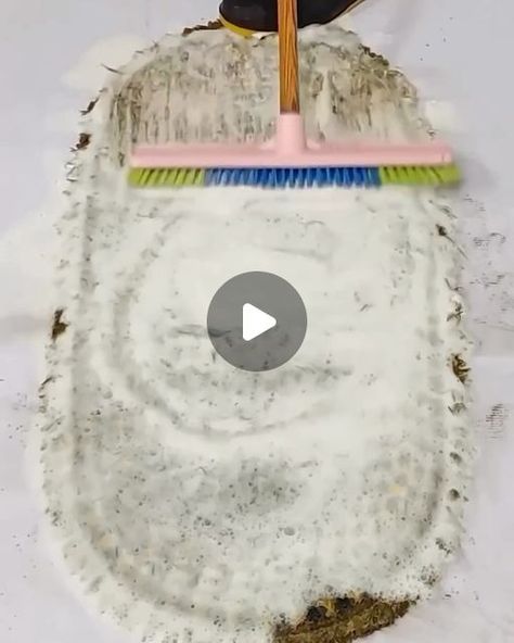 Carpet Asmr Luna on Instagram: "#carpetgrooming #rugbrushing #asmrsounds #asmr #brush #brushing #clean #reel #reels #carpetbrushing #satisfying #satisfyingvideos #carpetcleaning #carpetwashing #carpetcleaningservice #carpetasmr #carpetgrooming #rugwashing #rugscrubbing #ruggrooming #rugscraping #carpetscraping #scraping" Carpet Cleaning Videos, Cleaning Videos, Carpet Cleaning Service, Carpet Cleaning, How To Clean Carpet, Brushing, Rug Cleaning, Small Rugs, Rugs On Carpet