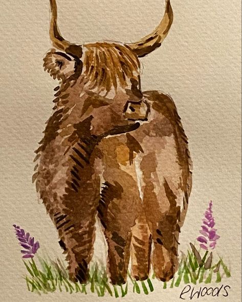 Watercolour Watercolor Cows Painting, Highland Cow Reference, Hyland Cow Painting, Watercolour Highland Cow, Cow Oil Pastel, Fluffy Cow Painting, Highland Cow Painting Easy, Highland Cow Drawing, Highland Cow Watercolour