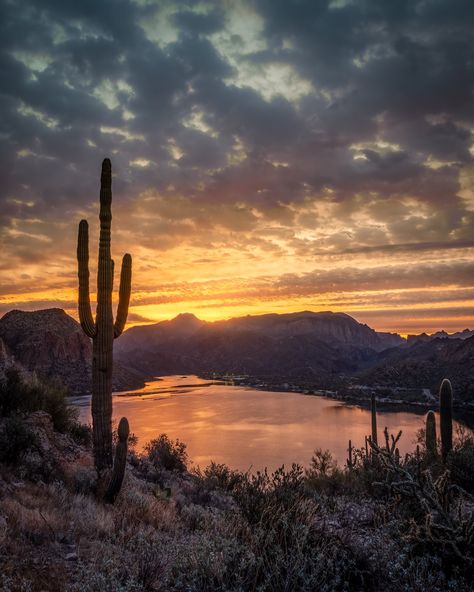 "Sunrise at Canyon Lake Arizona in the Desert Southwest Bring the beauty of nature into your home with this stunning landscape photograph. This photo showcases the breathtaking Nightscape photo of the natural world.  Ready for you to print on high-quality paper, this photograph is perfect for adding a touch of the great outdoors to any home or office decor.  Keywords: Landscape Photography, Vistas, Seascapes, Nature, High-Quality Prints, Home Decor, Office Decor, Wall Art. This can be printed up to 40\" wide by 32 \" high or smaller. Also can be used as your iPhone or Android phones wallpaper background." Canyon Lake Arizona, Desert Landscape Art, Desert Pictures, Arizona Homes, Office Decor Wall Art, Desert Southwest, Desert Mountains, Canyon Lake, Desert Vibes