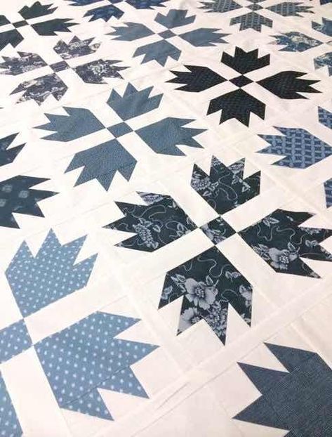 Southwestern Quilts, Bear Paw Quilt, Two Color Quilts, White Quilts, Bear Quilts, Paw Pattern, Bear Claw, Star Quilt Blocks, Summer Quilts