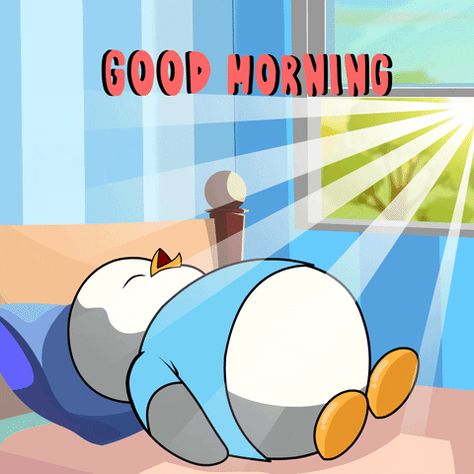 Good Morning Gifs Funny, Penguin Gif, Good Morning Gift, Best Gif, Bunny Cartoon, Cute Bunny Cartoon, Good Morning Funny, Morning Gif, Good Morning Gif