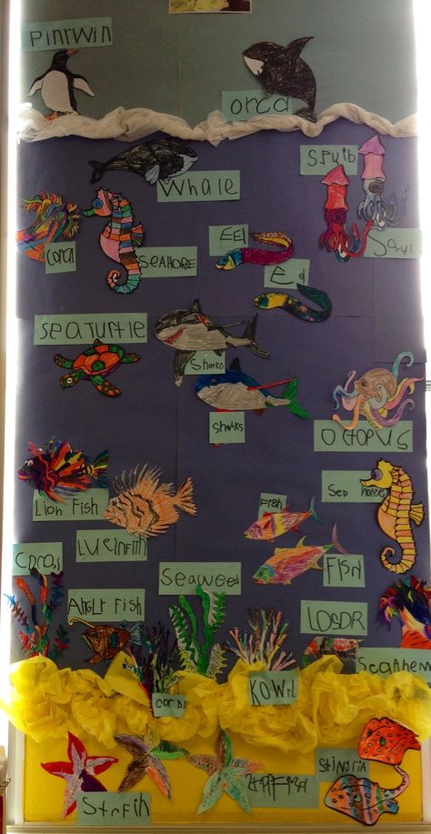 A great way to include science and literacy. Have students either draw out their own sea creature or pick on already up on the board. Then have students either sound out the name of their creature or look it up. Create an underwater display that allows the students to see the diversity that lives under the sea! This could be supplemented with an underwater unit or books. Ocean Theme Preschool, Ocean Habitat, Ocean Projects, Sea Activities, Eyfs Activities, Underwater Theme, Ocean Activities, Draw Animals, Sea Crafts