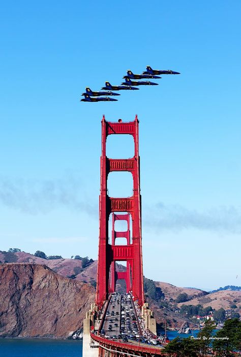 Blue Angels over the Golden Gate Bride Fleet Week San Francisco, Firefighter Images, Us Navy Blue Angels, Fleet Week, San Francisco Photos, Airplane Wallpaper, San Francisco Golden Gate Bridge, California Surf, San Francisco City