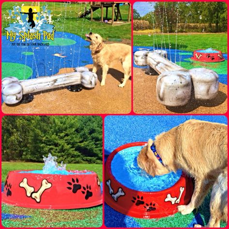 My Splash Pad Dog Water Park installer manufacturer spray playground splashpad pads splashpads Backyard Dog Playground, Portable Dog Kennels, Dog Friendly Garden, Indoor Dog Park, Dog Backyard, Dog Boarding Kennels, Dog Kennel Cover, Dog Equipment, Diy Dog Kennel