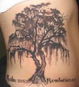 Tree Tattoos And Meanings-Tree Tattoo Designs And Ideas-Tree Tattoo Pictures Spanish Moss Tattoo, Oak Tree Branch Tattoo, Moss Tattoo, Weeping Willow Tattoo, Willow Tattoo, Tree Tattoo Meaning, Tree Branch Tattoo, Oak Tree Tattoo, Willow Tree Tattoos