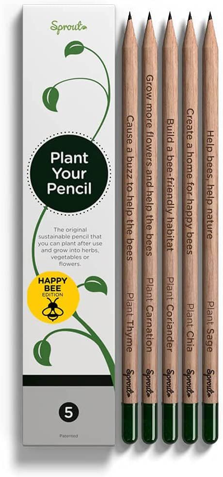 Pencil Plant, Nature Office, Sketching Shading, Bee Friendly Flowers, Thyme Plant, Seeds Gifts, Tiktok Made Me Buy It, Sage Plant, Work Decor