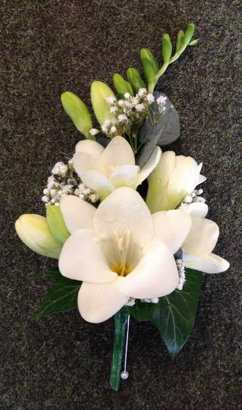 Matt's and Mother of's buttonholes White Freesia and Gypsophila Mothers Corsage Wedding Flowers. LOVE! Gypsophila Corsage, Mother Corsage Wedding, Freesia Buttonhole, Freesia Corsage, Freesia Boutonniere, Modern Corsage, Boutineer Ideas, Groom Corsage, Buttonholes Wedding