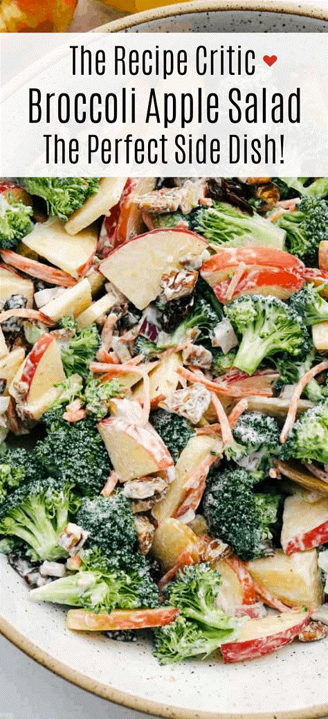 Broccoli, pecans, cranberries, carrots and apples come together to make an amazing salad with delicious flavors and textures. The creamy dressing on top makes this salad absolutely incredible! Broccoli Apple Salad, Apple Broccoli Salad, Apple Salad Recipes, Creamy Broccoli, The Recipe Critic, Broccoli Salad Recipe, Creamy Dressing, Recipe Critic, Cold Salad