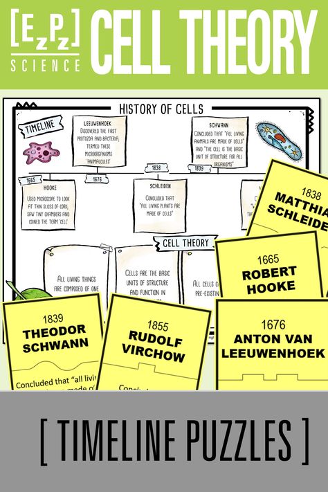 Students will be so engaged with these Cell Theory Puzzles. Students will use their knowledge of the history of cells and cell theory to match year/scientists with their discovery/contribution. There are 11 Cell Theory events/terms included and 4 blank editable puzzle templates to utilize to better meet the needs of your curriculum. Each Cell Theory puzzle piece is unique so that students can self-check and get immediate feedback of their understanding of the history of cell theory. Cell Theory Timeline, Cell Theory, Science Puzzles, Timeline Design, History Of Science, Middle School Science, Puzzle Piece, 7th Grade, The Cell