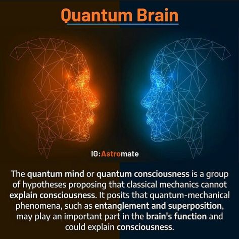 Observer Effect, Quantum Reality, Quantum Consciousness, Quantum World, Quantum Entanglement, Healing Frequencies, The Ugly Truth, All Or Nothing, Brain Function