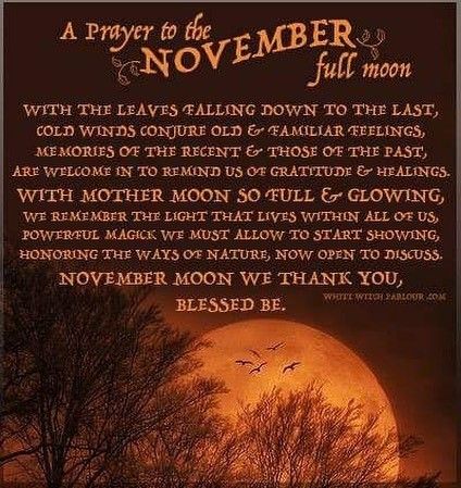 Prayer for the November full moon November Full Moon, Frost Moon, Open To Receiving, The White Witch, God's Help, Usui Reiki, Full Moon Ritual, Magick Spells, Moon Witch