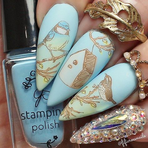 Clear Jelly Stamper Nail Art Designs, Layered Images, Steel Nail Art, Nail Art Images, Nail Stamper, Nail Art Stamping Plates, Blue Acrylic Nails, Steel Nail, Nail Stamping Plates