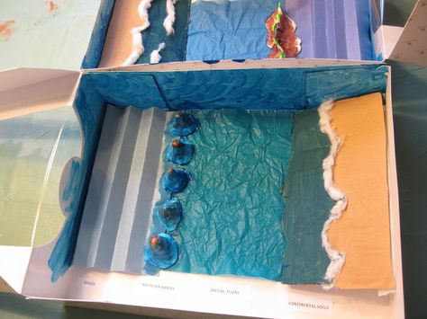 CC Week 18 - Ocean Floor Types - Diorama Project Ocean Floor Project, Landform Projects, Diorama Project, Space Lessons, Habitats Projects, Cells Project, Ocean Projects, Science Week, Floor Types