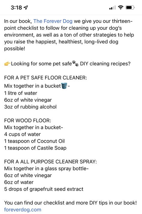 Pet Friendly Floor Cleaner, Pet Safe Floor Cleaner, Diy Cleaning Products Recipes, Dog Business, Cleaning House, Floor Safe, Castile Soap, Cleaning Recipes, Cleaning Checklist