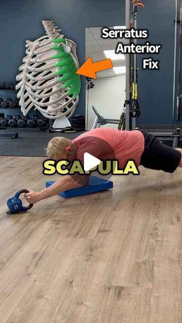 Dr. Adam McCluskey PT, DPT on Instagram: "💥Don’t Neglect this Critical Shoulder Muscle!💥 (Full Shoulder Program on sale in @theptinitiative bio link!...)
.
.
🔑The serratus anterior is an important muscle that sits underneath your shoulder blade and wraps around the side to your ribs. It plays a significant role in keeping your scapula moving optimally when reaching overhead.
—-
🔎Sometimes when we don’t have optimal stability of the shoulder blade, the scapula can “wing out” leading to the popular term – scapular winging.
—
🤓Don’t view winging scapula as a diagnosis but instead a description of movement quality. Whenever I see a scapula winging out with clients of mine, I use it as a guide to investigate further if their shoulder stabilizers need a bit of strengthening.
—
🎯These exerc Serratus Anterior Muscle, Scapular Winging, Scapula Exercises, Serratus Anterior, Shoulder Muscle, Muscle Stretches, Shoulder Muscles, Shoulder Pain, Muscle Fitness