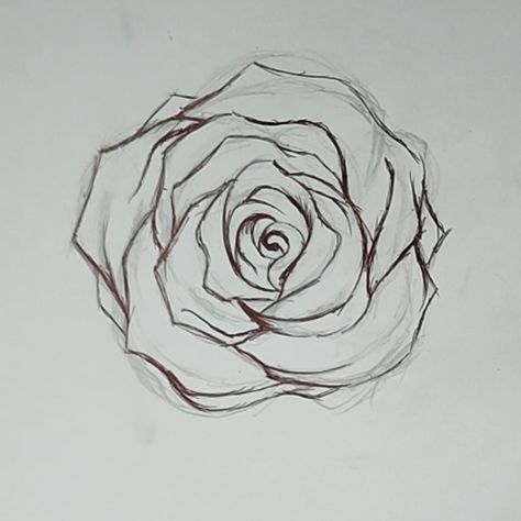 How to Draw A Rose With Pencil, Pen and Ink - Easy Flowers to Draw - Cool Things to Draw When Bored - Pretty Crafts and art Ideas for Teens Rose Drawing From Above, Things To Draw On Yourself With Pen, Roses Easy Drawing, Free Sketch Drawings, Easy Pen Art For Beginners, Trace Drawings Ideas, Cool Sketch Ideas Creativity Easy, How To Draw A Rose Step By Step Simple, Cool Things To Trace