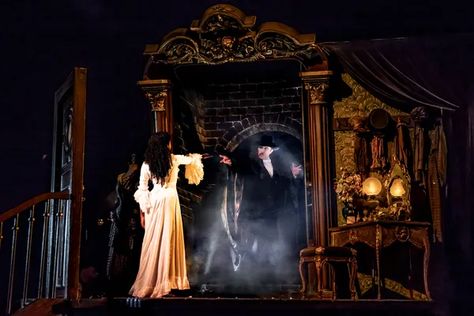 Phantom Of The Opera Twitter Header, Phantom Of The Opera Wallpaper Desktop, Phantom Of The Opera Broadway, Opera Aesthetic, New York Theater, Paris Opera House, Broadway Tickets, Majestic Theatre, Gaston Leroux