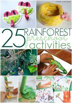 Rainforest Activities for Preschoolers - Pre-K Pages. A collection of the 25 best preschool activities for a rainforest theme in your preschool or kindergarten classroom! Jungle Lesson Plans Preschool, Rainforest Worksheets, Rainforest Preschool, Preschool January, Rainforest Crafts, Kiddie Academy, Preschool Jungle, Jungle Activities, Rainforest Activities