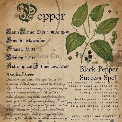 Book Of Shadows Green Witch, Success Herbs Witchcraft, Book Of Shadows Herbs, Green Witch Book Of Shadows, Books Of Shadows Ideas, Harry Potter Herbology Printables Free, Green Witch Grimoire Ideas, Book Of Shadows Diy, Book Of Shadows Inspiration