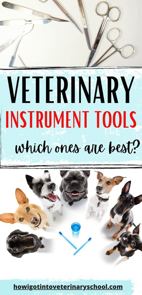 Veterinary Instrument Tools: Veterinary Surgeon, Vet School, Vet Med, Vet Clinics, Used Tools, Veterinarian, Tools And Equipment, Need To Know, Tools