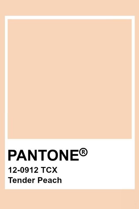 Pantone Tender Peach Peach Pantone, Pantone Tcx, Pantone Color Chart, Pantone Swatches, Pantone Palette, Pantone Colour Palettes, Colour Board, Colour Schemes, Creative Logo