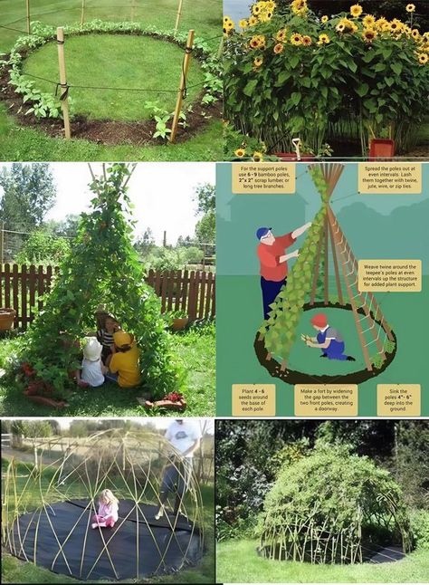 Garden Ideas for Home Sweet Pea Tent, Natural Playhouse, Medicinal Herbs Garden, Medicinal Garden, Bamboo Poles, Garden Kit, Boho Garden, Garden Nursery, Creative Gardening