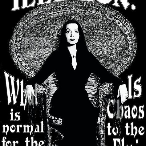 Morticia Addams-"Normal Is An Illusion..." Morticia Addams Quotes, Addams Quotes, Goth Valentines Day, Addams Morticia, Goth Valentines, Normal Is An Illusion, College Tapestry, Spider Fly, 60s Tv