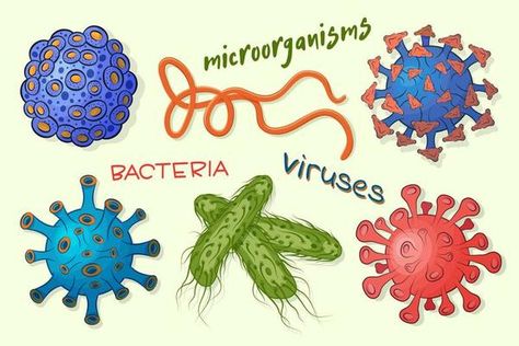 Biology microorganisms. Biological virus, bacteria, disease microbes, infection germ and infectious agent. Microorganism cells vector symbols 41936601 Vector Art at Vecteezy Vector Symbols, Flat Illustration, Lights Background, Biology, Vector Art, Disease, Vector Free, Royalty Free, Clip Art