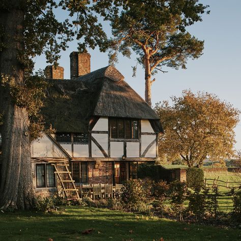 An artist's remote Lapland cabin painstakingly built by hand | House & Garden English Cabin, Cotswold House, English Cottage Interiors, Riding Holiday, Clematis Montana, Cotswolds Cottage, Great Fire Of London, English Country Cottage, Inglenook Fireplace