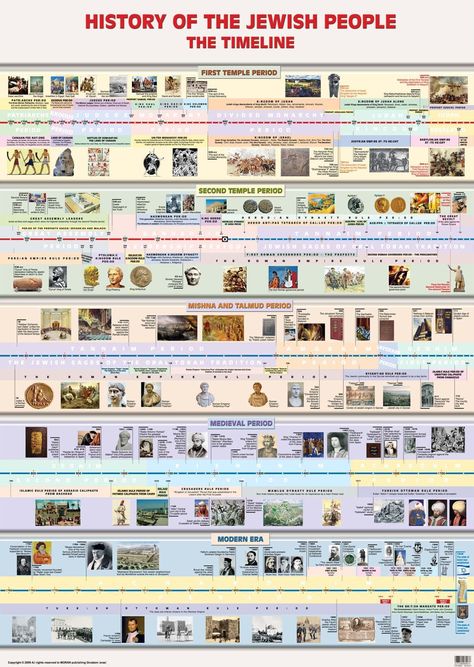 History Classroom Decorations, Bible Genealogy, World History Classroom, Bible Timeline, Funny Art History, History Classroom, Bible History, History Quotes, History Timeline