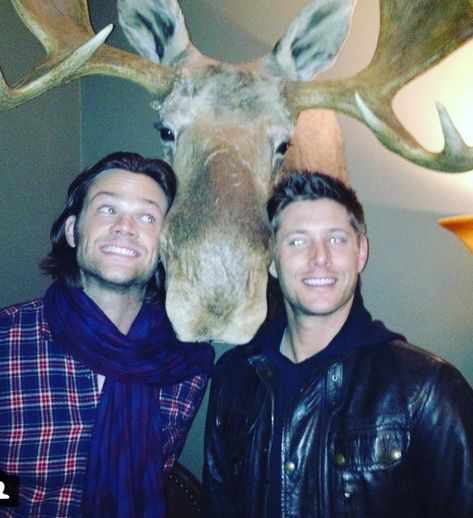 Lia❤JaRod & Jack Padackles😉😍 (@liataghva) | Twitter Film Memes, Sam E Dean Winchester, Jensen And Misha, Jensen Ackles Jared Padalecki, Winchester Supernatural, Jared And Jensen, Odaiba, Winchester Brothers, Supernatural Cast